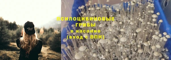 spice Слюдянка