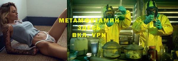 индика Новозыбков