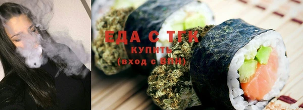 индика Новозыбков
