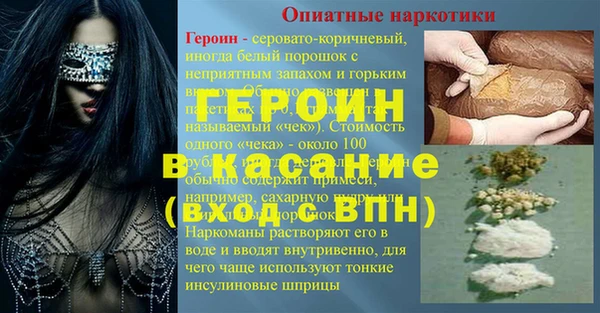 индика Новозыбков