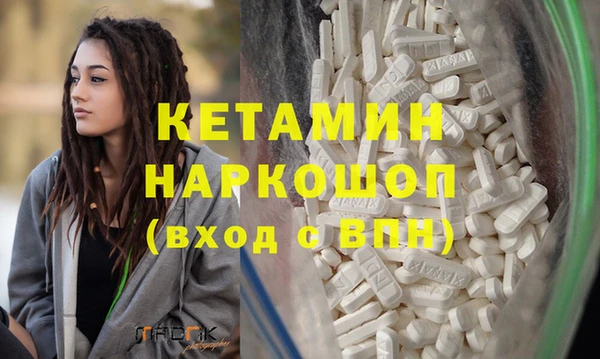 индика Новозыбков