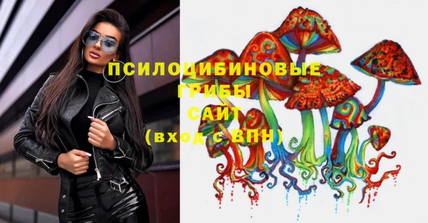 таблы Новодвинск