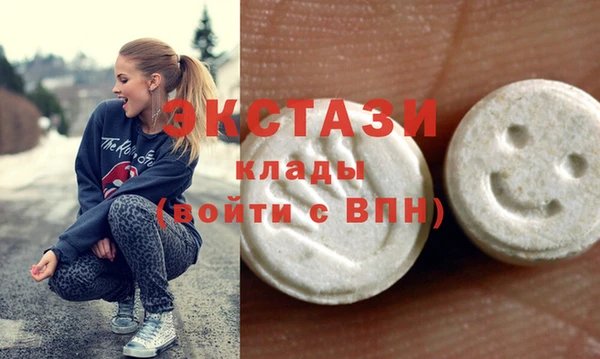 индика Новозыбков