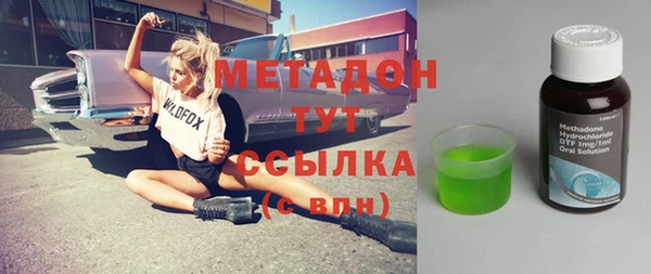 индика Новозыбков